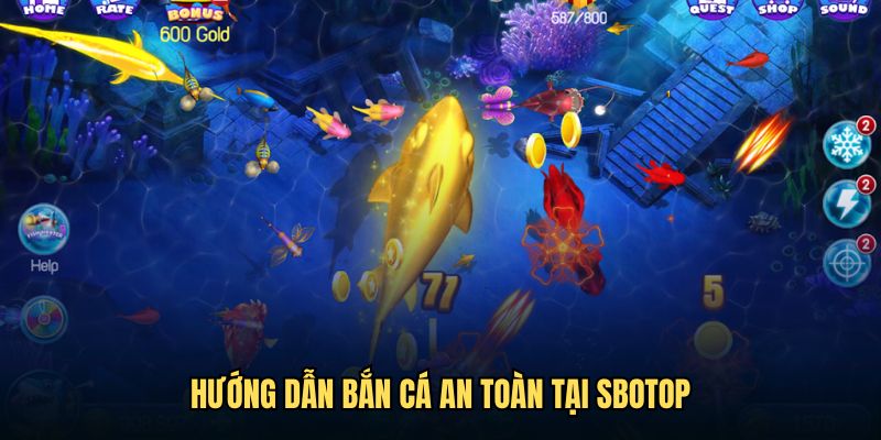 Hướng dẫn bắn cá an toàn