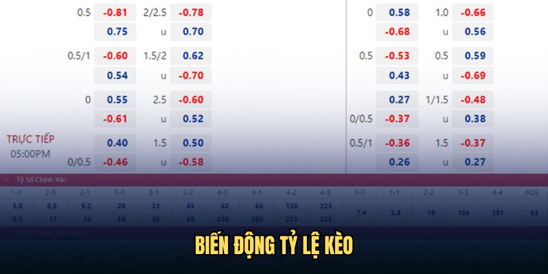 Theo dõi biến động tỷ lệ kèo