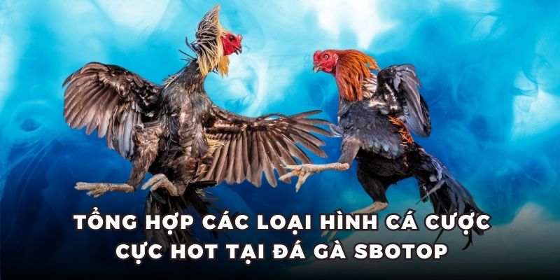 Tổng hợp các loại hình cá cược cực hot tại đá gà Sbotop