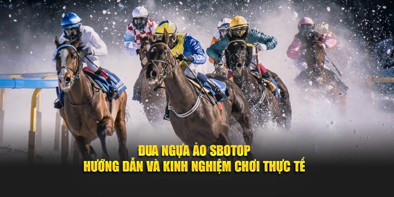 Đua ngựa ảo Sbotop