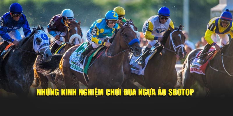 Những kinh nghiệm chơi đua ngựa ảo Sbotop