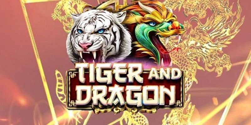 Điểm nổi bật riêng biệt của rồng hổ Sbotop