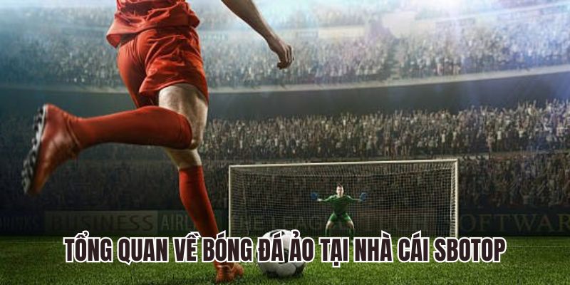 Tổng quan về bóng đá mô phỏng tại nhà cái Sbotop